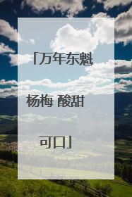 万年东魁杨梅 酸甜可口