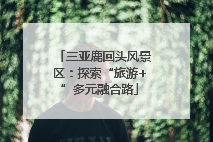 三亚鹿回头风景区：探索“旅游+”多元融合路