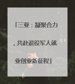 三亚：凝聚合力，共赴退役军人就业创业新征程