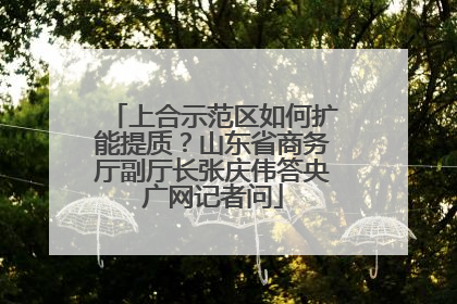上合示范区如何扩能提质？山东省商务厅副厅长张庆伟答央广网记者问