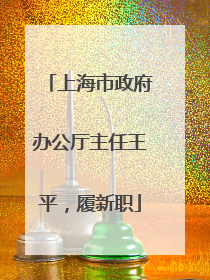 上海市政府办公厅主任王平，履新职