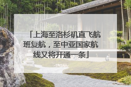 上海至洛杉矶直飞航班复航，至中亚国家航线又将开通一条