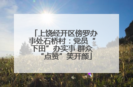 上饶经开区傍罗办事处石桥村：党员“下田”办实事 群众“点赞”笑开颜