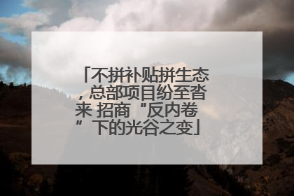不拼补贴拼生态，总部项目纷至沓来 招商“反内卷”下的光谷之变