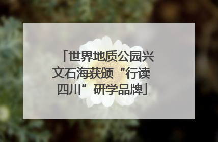 世界地质公园兴文石海获颁“行读四川”研学品牌