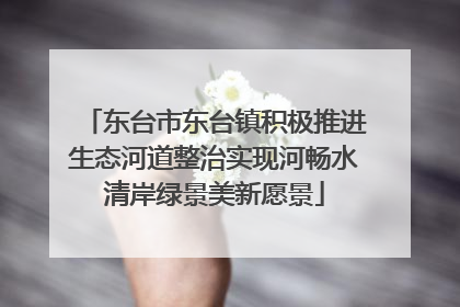 东台市东台镇积极推进生态河道整治实现河畅水清岸绿景美新愿景