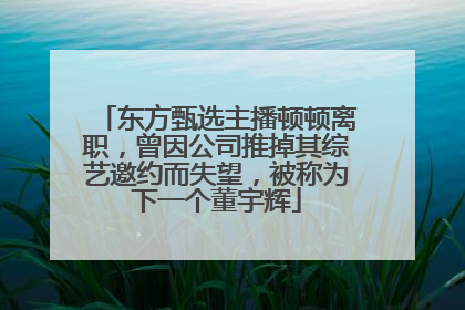 东方甄选主播顿顿离职，曾因公司推掉其综艺邀约而失望，被称为下一个董宇辉