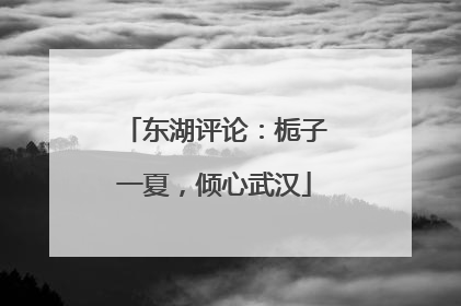 东湖评论：栀子一夏，倾心武汉