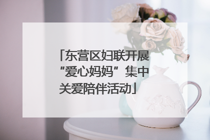 东营区妇联开展“爱心妈妈”集中关爱陪伴活动