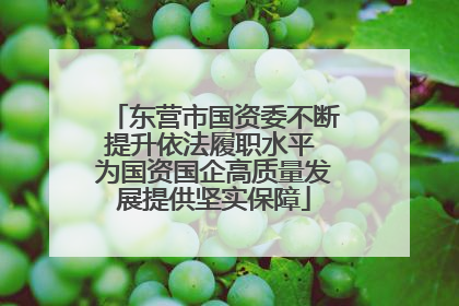 东营市国资委不断提升依法履职水平 为国资国企高质量发展提供坚实保障