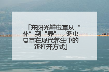 东阳光鲜虫草从“补”到“养”，冬虫夏草在现代养生中的新打开方式