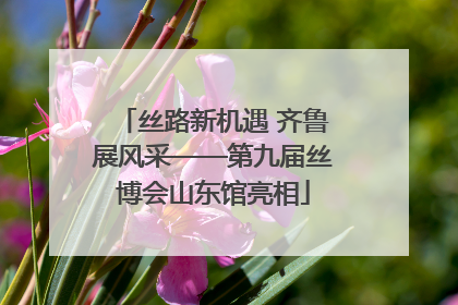 丝路新机遇 齐鲁展风采——第九届丝博会山东馆亮相