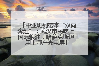 中亚班列带来“双向奔赴”：武汉市民吃上国际粮油，哈萨克斯坦用上鄂产光电屏