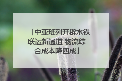 中亚班列开辟水铁联运新通道 物流综合成本降四成