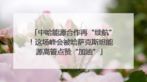 中哈能源合作再“续航”！这场峰会被哈萨克斯坦能源高管点赞“加油”