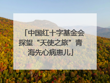中国红十字基金会探望“天使之旅”青海先心病患儿