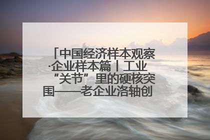 中国经济样本观察·企业样本篇丨工业“关节”里的硬核突围——老企业洛轴创新蝶变启示录