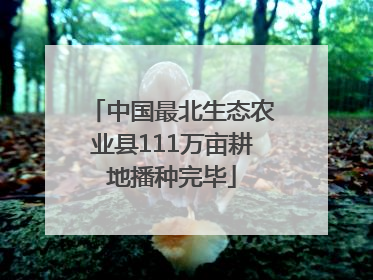 中国最北生态农业县111万亩耕地播种完毕