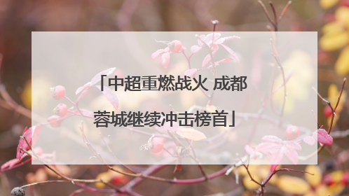 中超重燃战火 成都蓉城继续冲击榜首