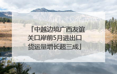 中越边境广西友谊关口岸前5月进出口货运量增长超三成