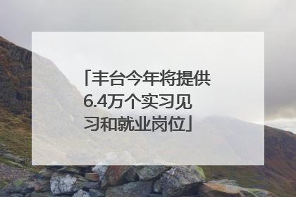 丰台今年将提供6.4万个实习见习和就业岗位