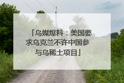 乌媒爆料：美国要求乌克兰不许中国参与乌稀土项目
