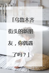 乌鲁木齐街头的新朋友，你偶遇了吗？