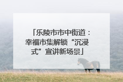 乐陵市市中街道：幸福市集解锁“沉浸式”宣讲新场景