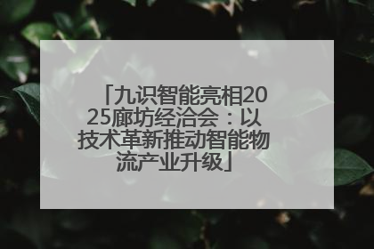 九识智能亮相2025廊坊经洽会：以技术革新推动智能物流产业升级