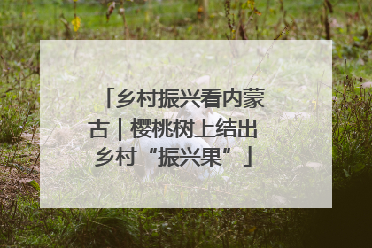 乡村振兴看内蒙古｜樱桃树上结出乡村“振兴果”