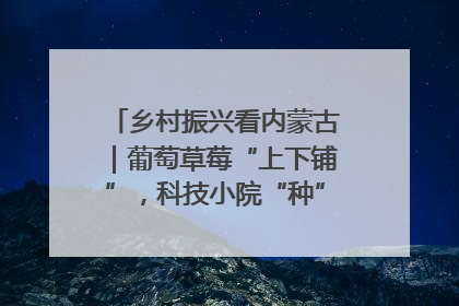 乡村振兴看内蒙古｜葡萄草莓“上下铺”，科技小院“种”出三倍效益