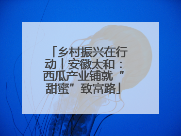 乡村振兴在行动丨安徽太和：西瓜产业铺就“甜蜜”致富路