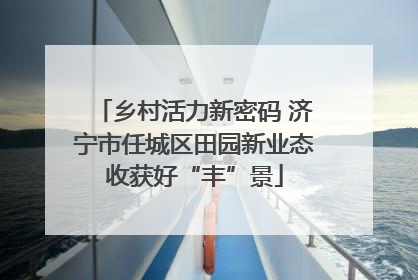 乡村活力新密码 济宁市任城区田园新业态收获好“丰”景