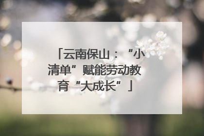 云南保山：“小清单”赋能劳动教育“大成长”