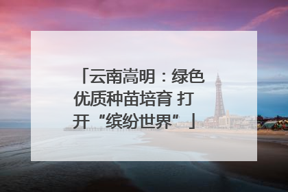 云南嵩明：绿色优质种苗培育 打开“缤纷世界”