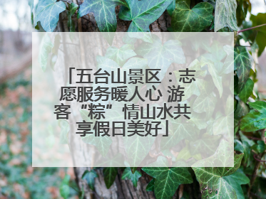 五台山景区：志愿服务暖人心 游客“粽”情山水共享假日美好