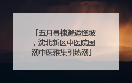 五月寻槐邂逅怪坡，沈北新区中医院国潮中医雅集引热潮