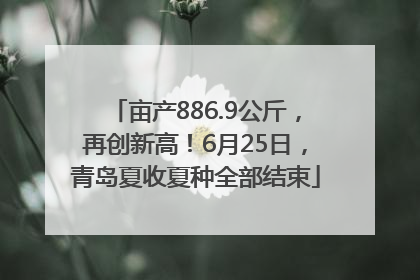 亩产886.9公斤，再创新高！6月25日，青岛夏收夏种全部结束