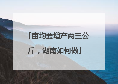 亩均要增产两三公斤，湖南如何做