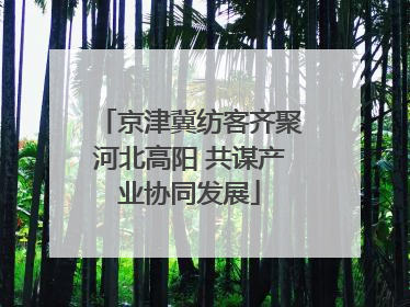 京津冀纺客齐聚河北高阳 共谋产业协同发展