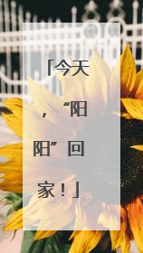 今天，“阳阳”回家！
