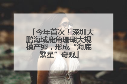 今年首次！深圳大鹏海域鹿角珊瑚大规模产卵，形成“海底繁星”奇观
