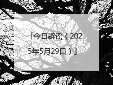 今日辟谣（2025年5月29日）