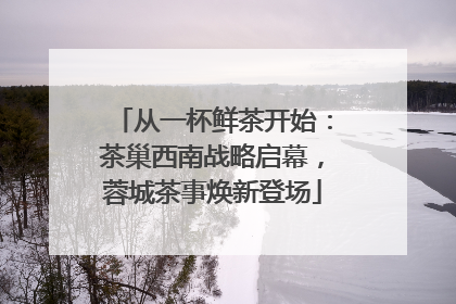 从一杯鲜茶开始：茶巢西南战略启幕，蓉城茶事焕新登场