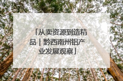 从卖资源到造精品｜黔西南州铝产业发展观察