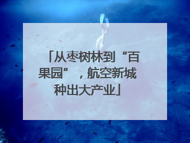 从枣树林到“百果园”，航空新城种出大产业