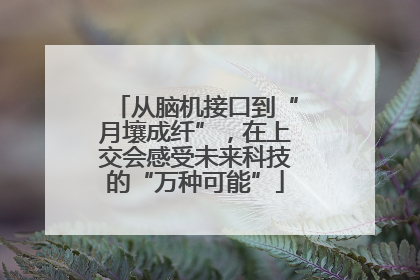 从脑机接口到“月壤成纤”，在上交会感受未来科技的“万种可能”