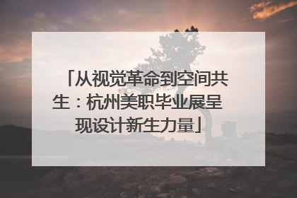 从视觉革命到空间共生：杭州美职毕业展呈现设计新生力量