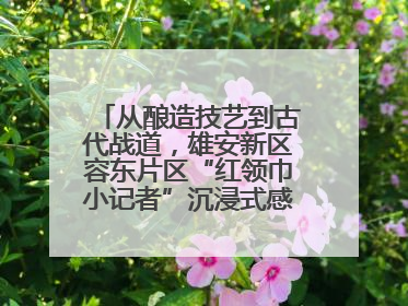 从酿造技艺到古代战道，雄安新区容东片区“红领巾小记者”沉浸式感受历史韵味