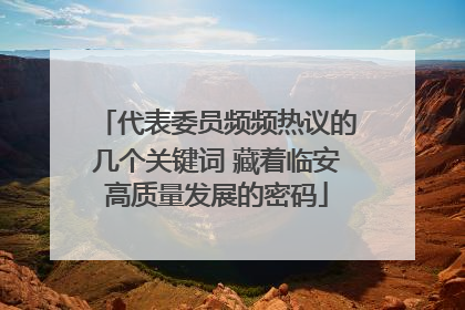 代表委员频频热议的几个关键词 藏着临安高质量发展的密码